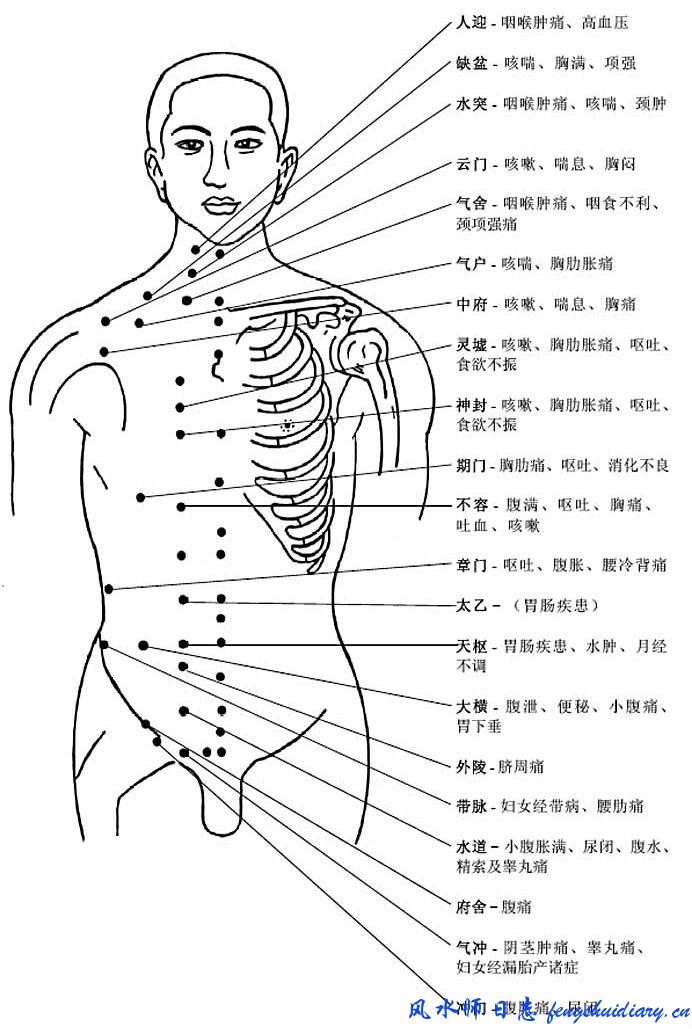 人体穴位养生大全